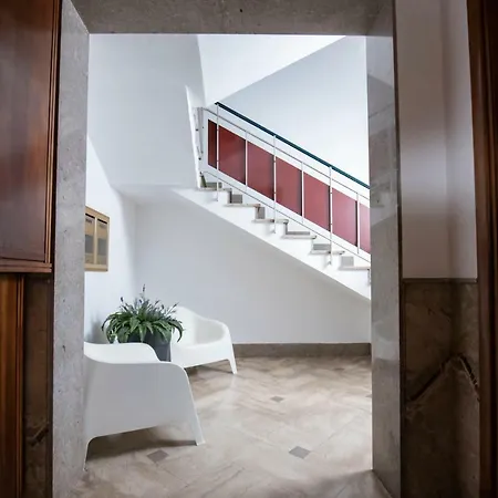 Laurus * تراباني