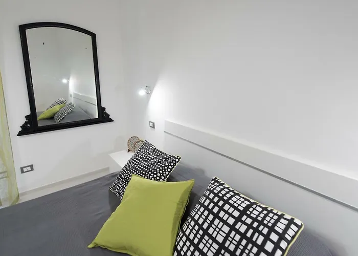 Laurus Daire Trapani